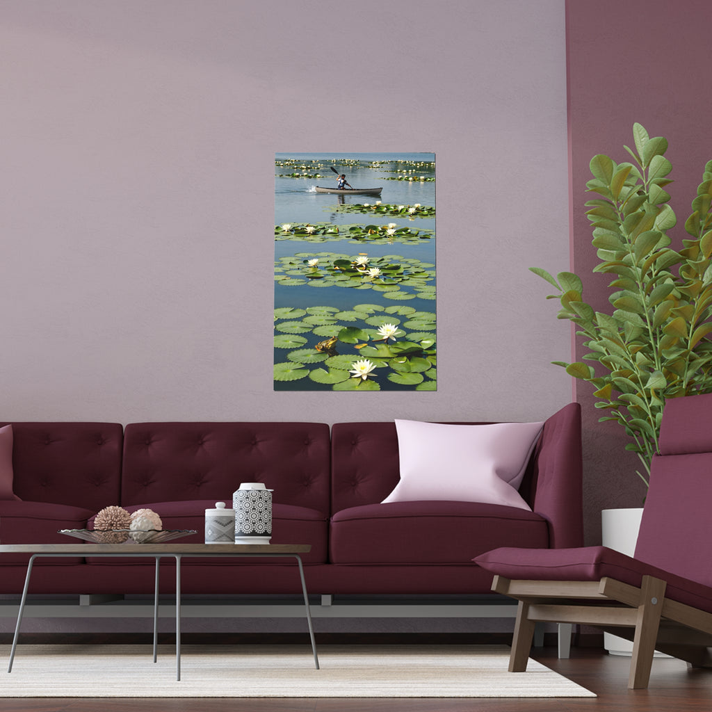 Serene Voyage on Lily Pad Waters