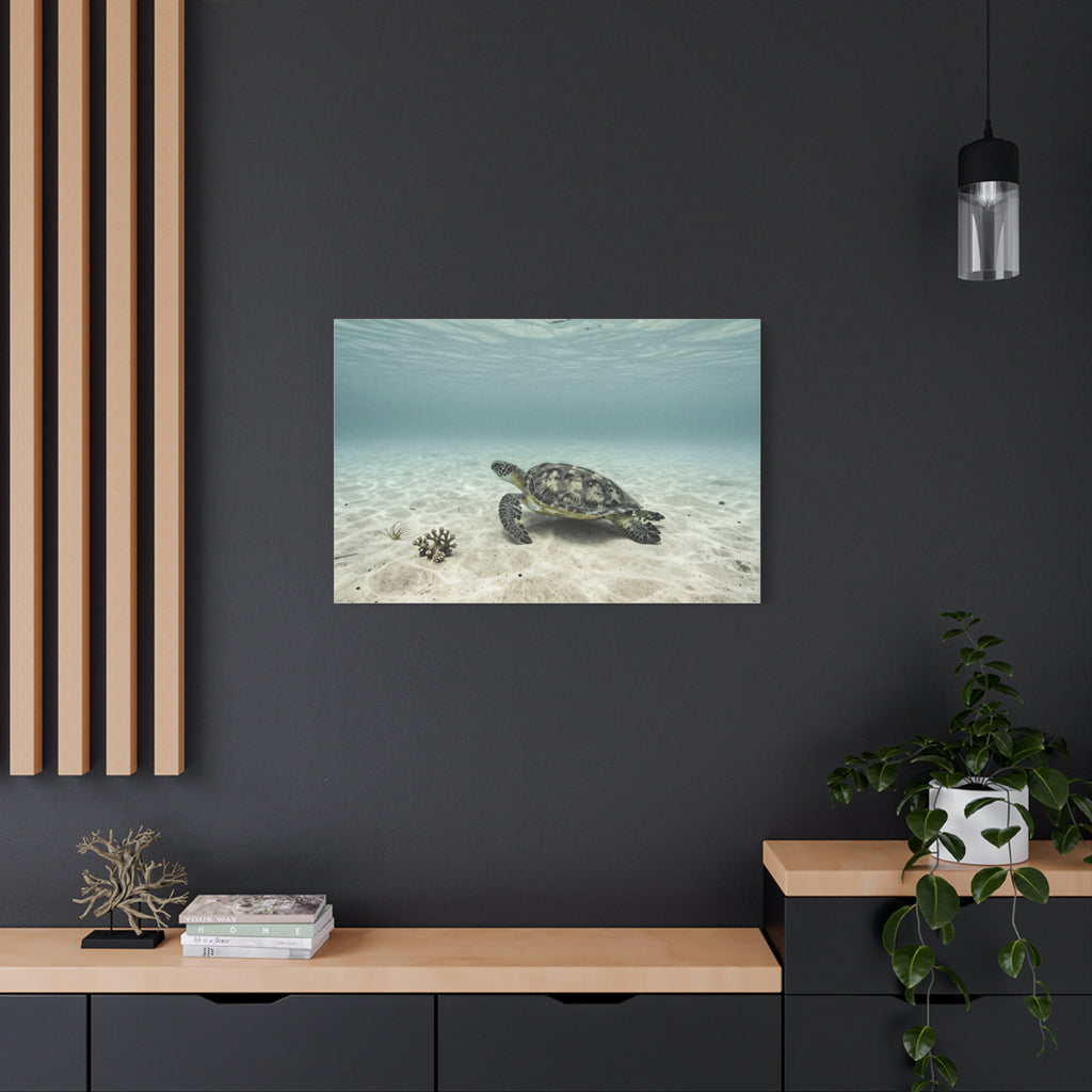 Unveil Aurora's Oceanic Odyssey