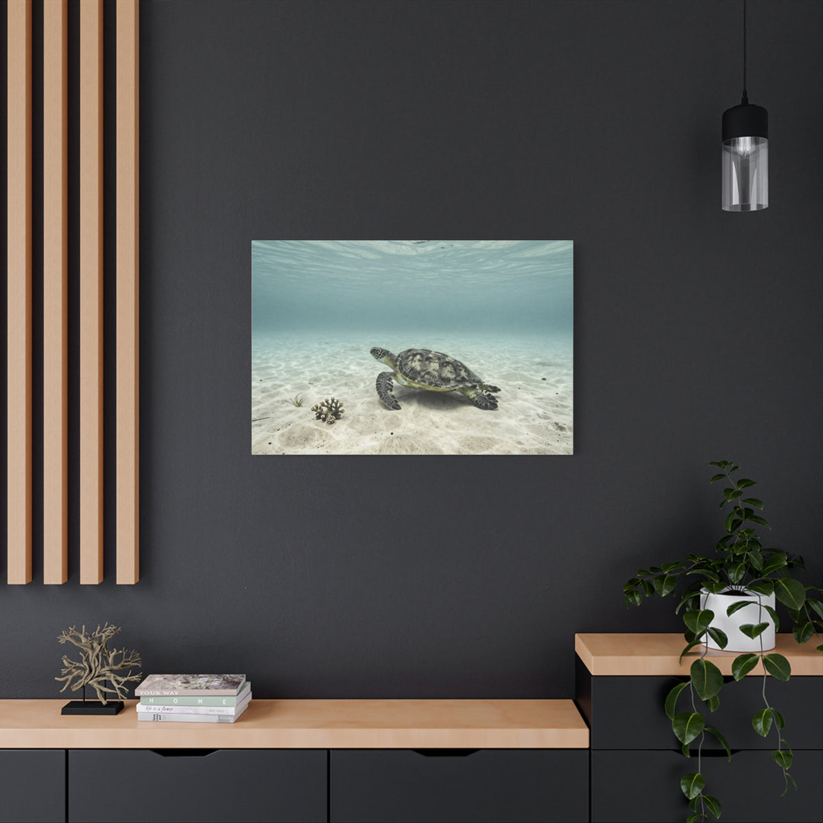 Unveil Aurora's Oceanic Odyssey