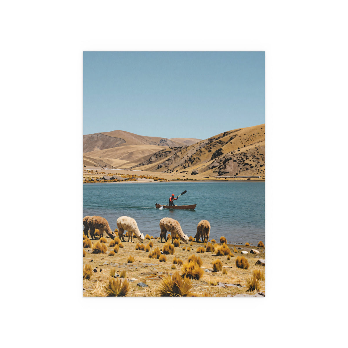 Serene Riverbank Gathering