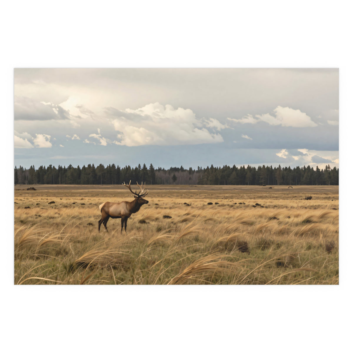 Ember Ascends Wildscape