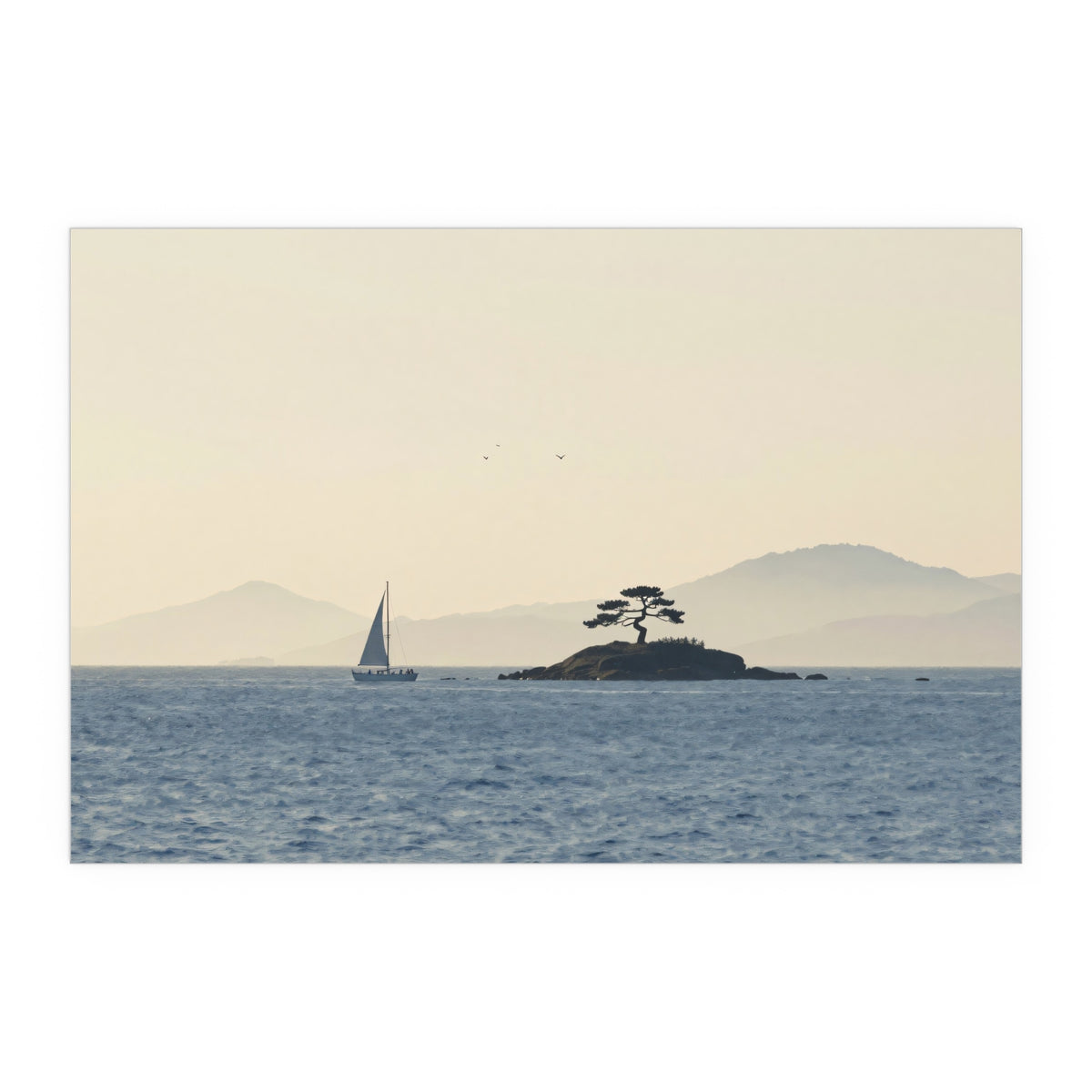 Tides Unfold