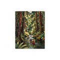 Whispering Wilds of Redwood Canyon