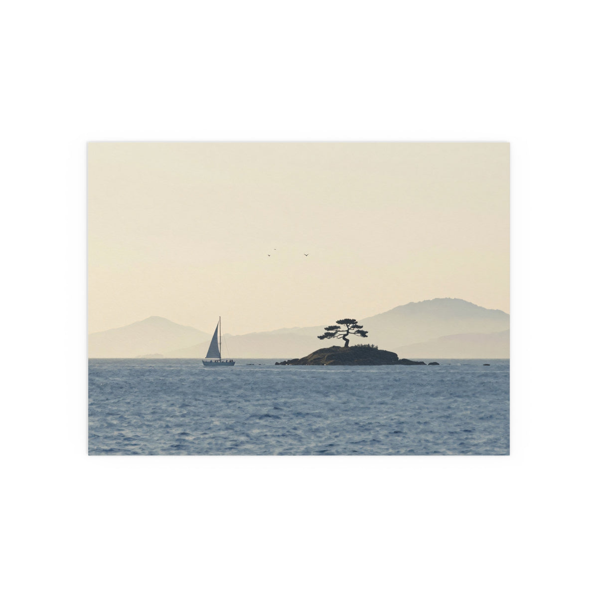 Tides Unfold