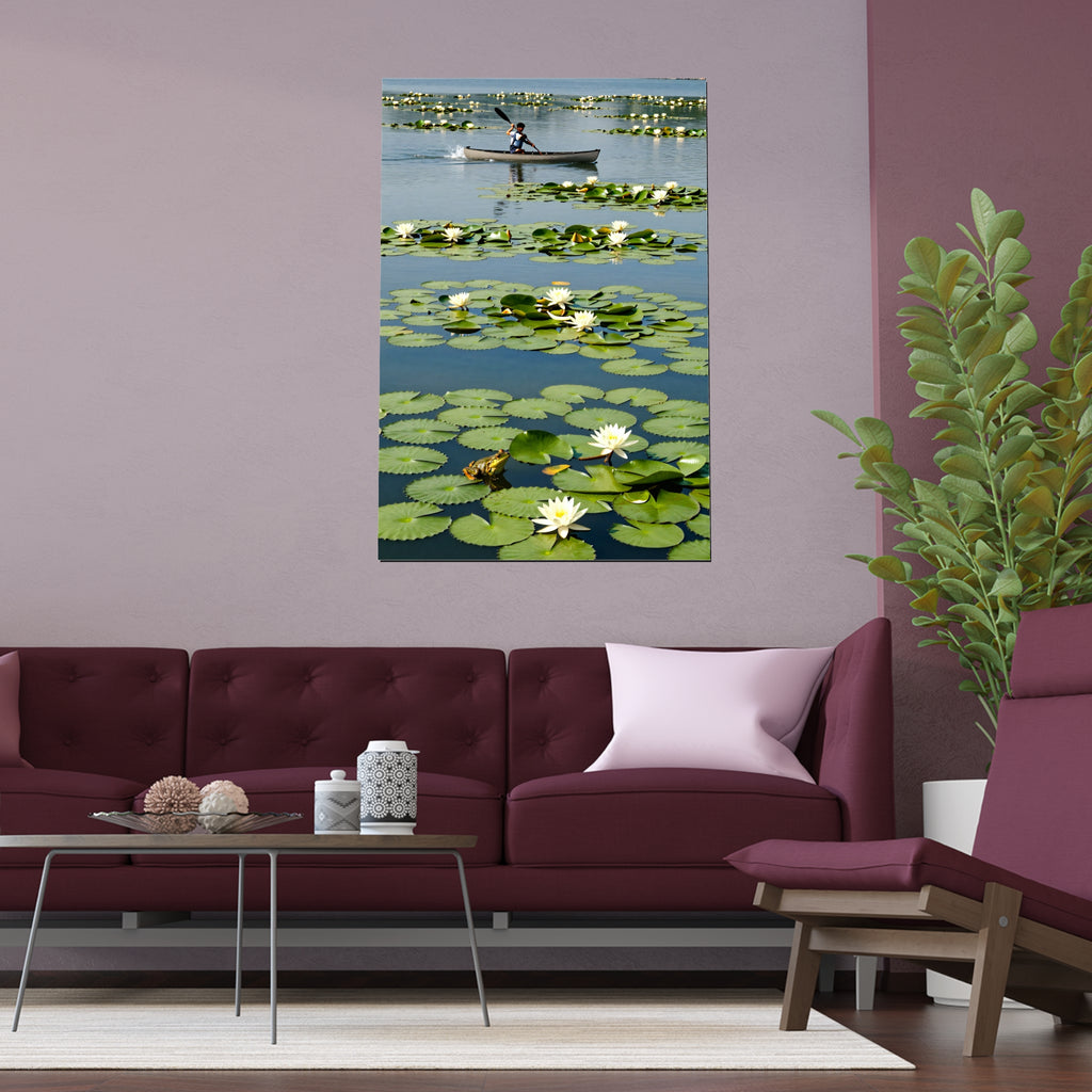 Serene Voyage on Lily Pad Waters