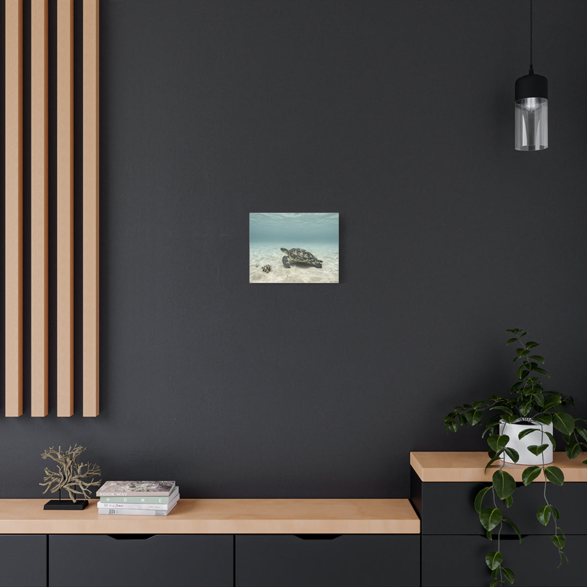 Unveil Aurora's Oceanic Odyssey