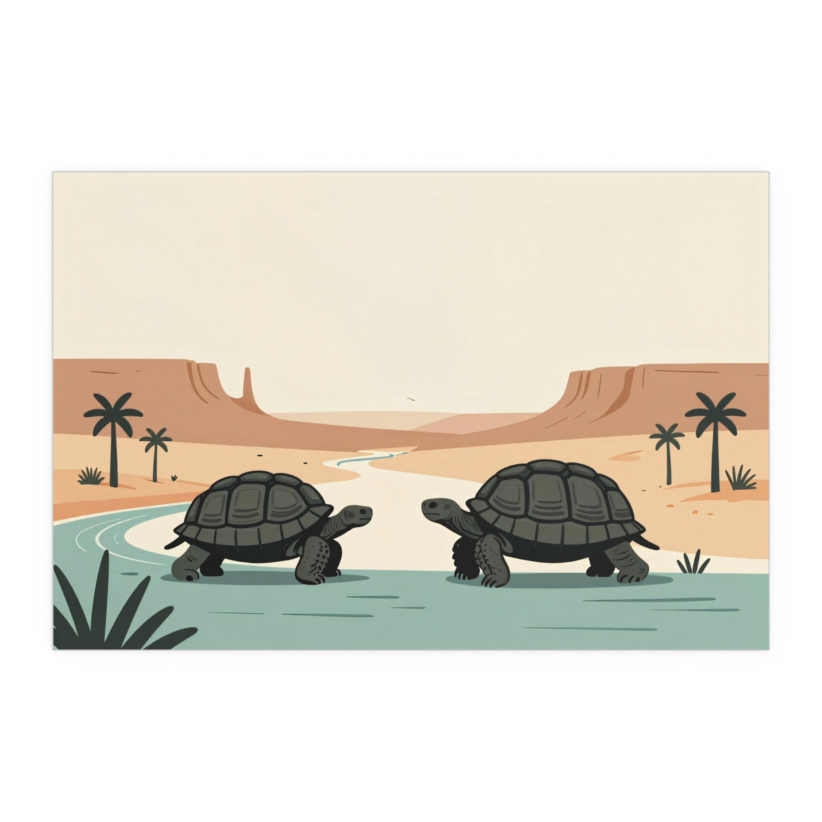 Turtle Odyssey