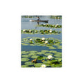 Serene Voyage on Lily Pad Waters