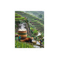 Serene Bamboo Sanctuary