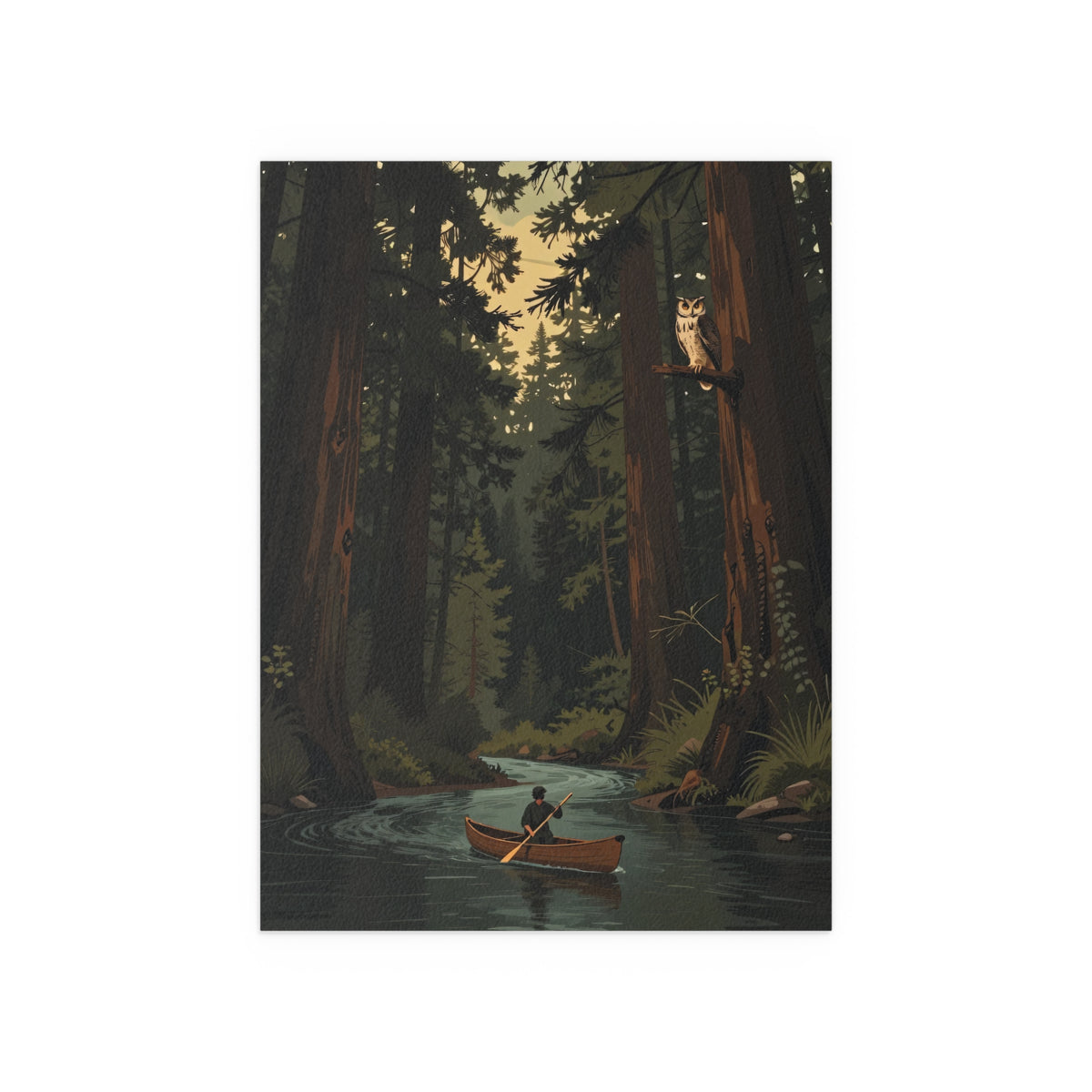 Forest Sanctuary Reflections