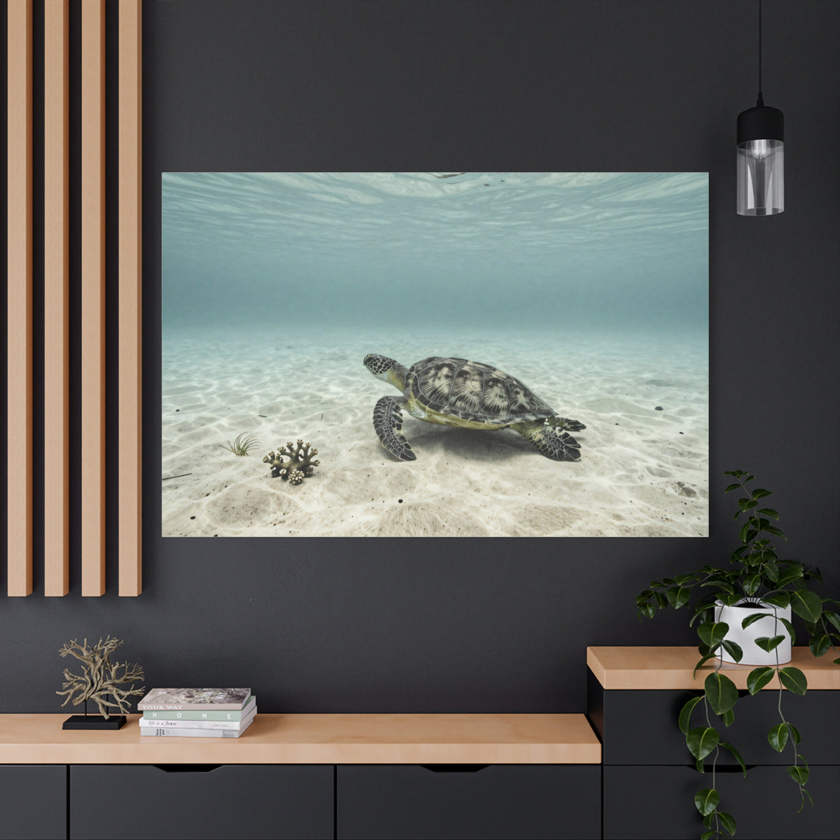Unveil Aurora's Oceanic Odyssey