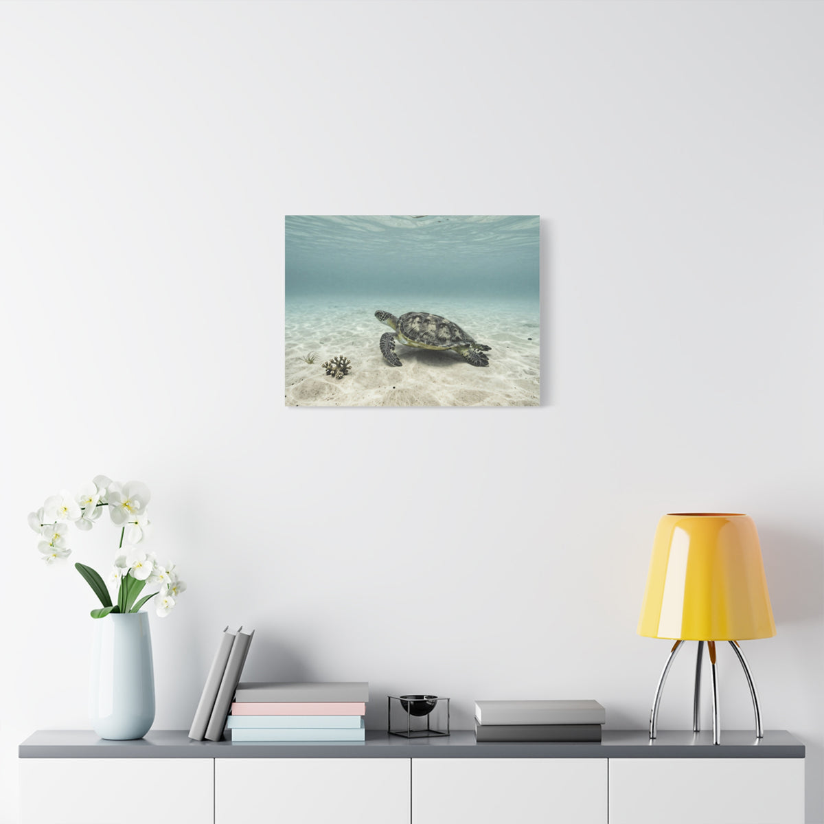 Unveil Aurora's Oceanic Odyssey