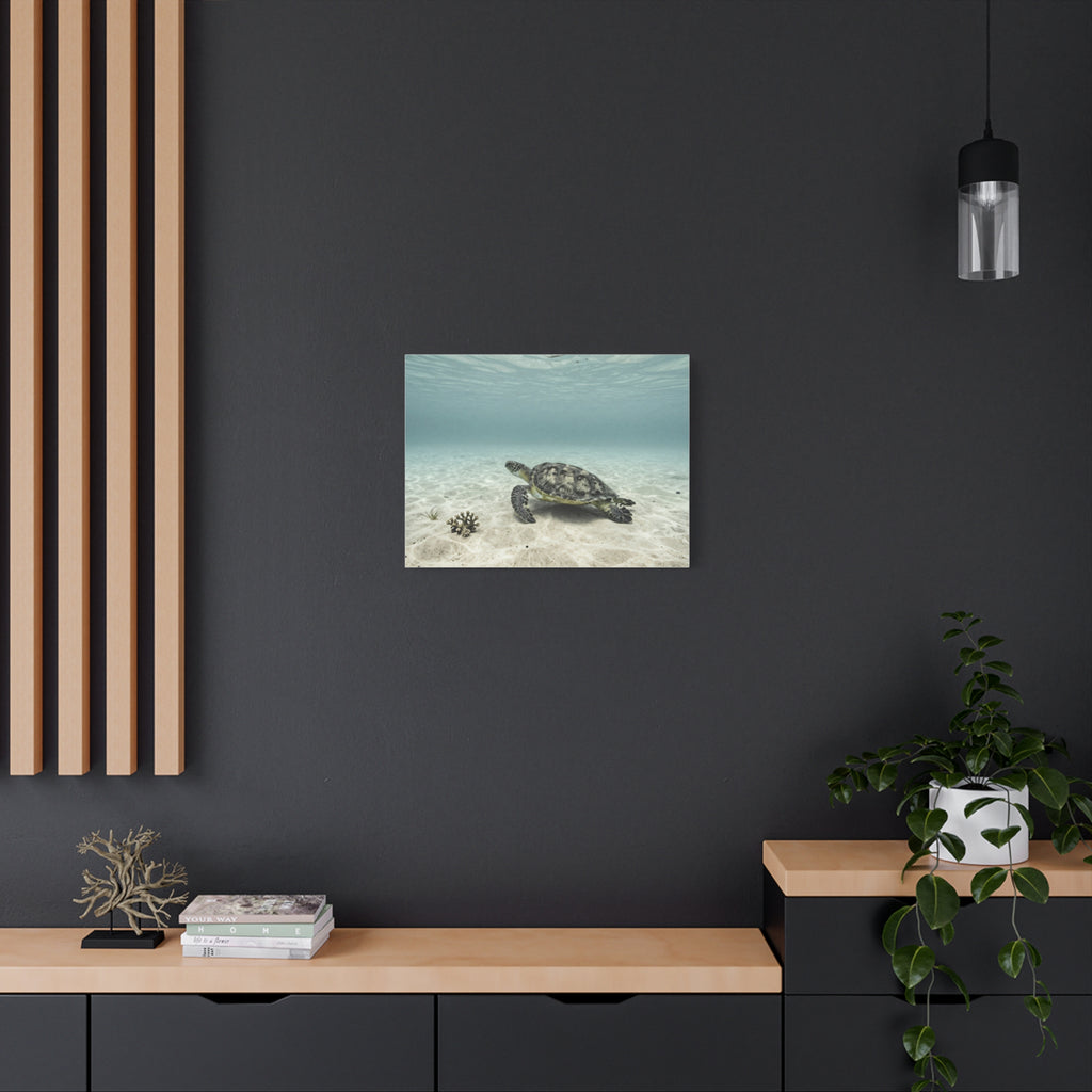 Unveil Aurora's Oceanic Odyssey