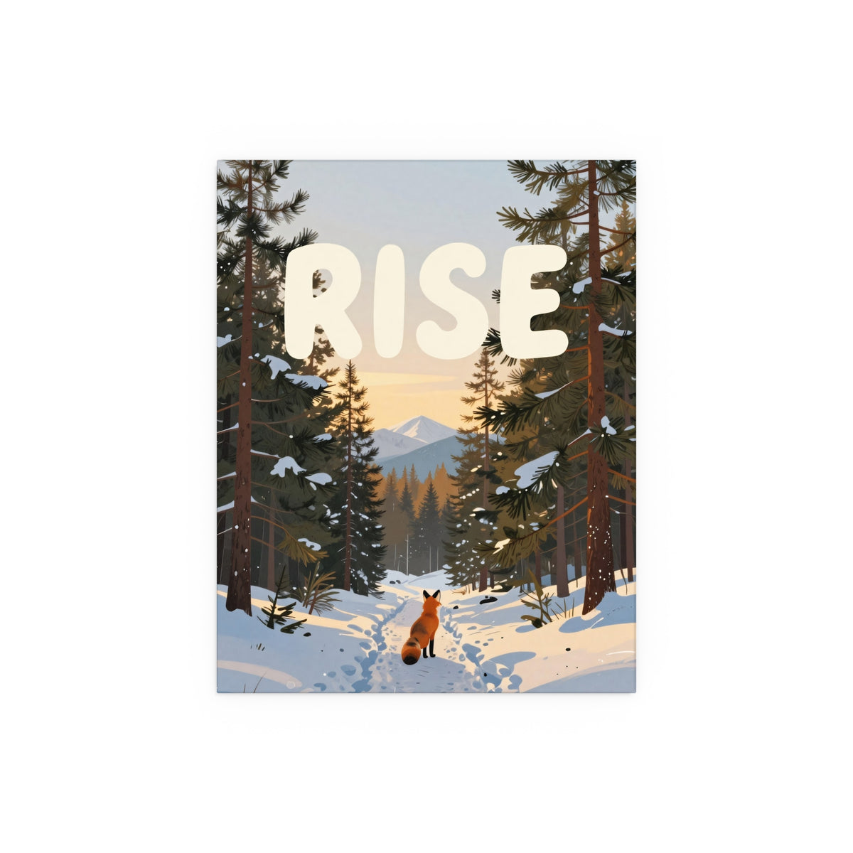 Winter's Gentle Companion