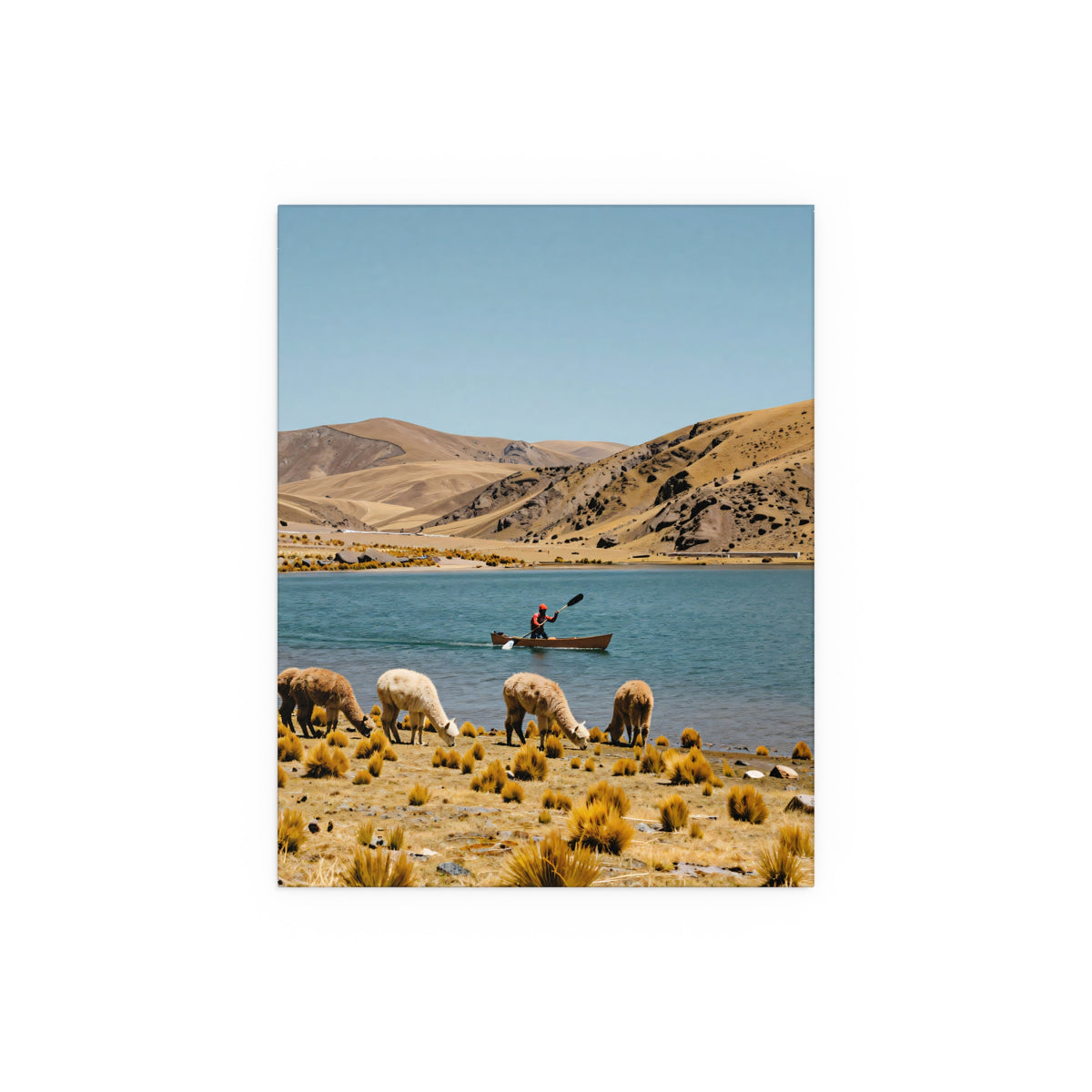 Serene Riverbank Gathering
